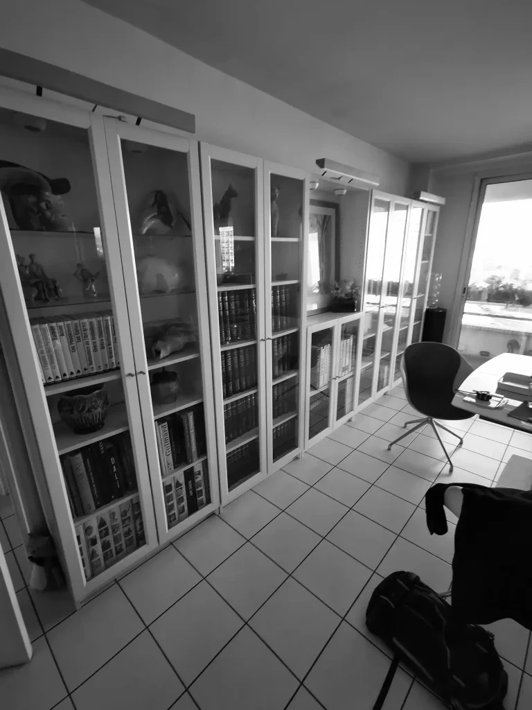 Bibliothèques avant travaux - Souplet&Lagneaux